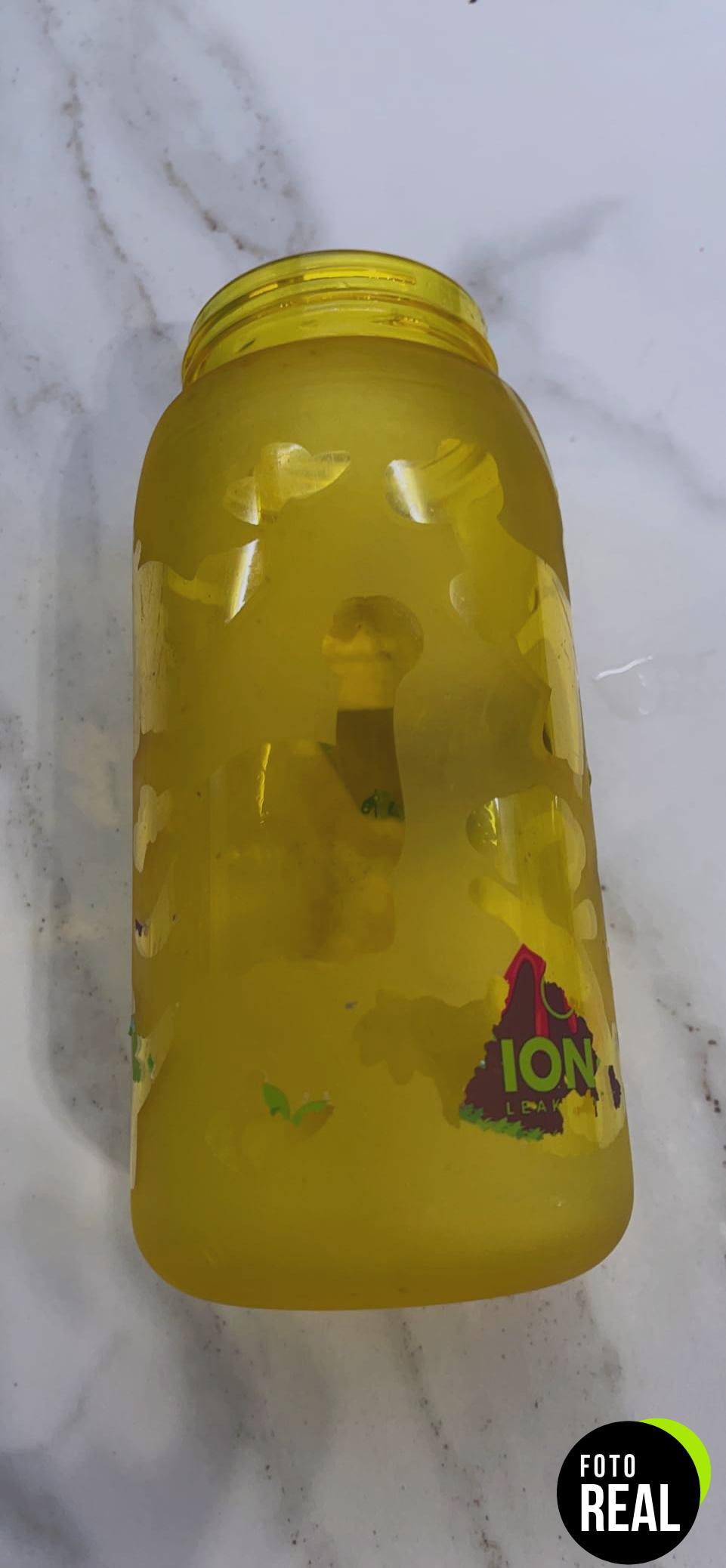 ion8-botella-agua-ninos-dinosaurios-350ml-foto-3